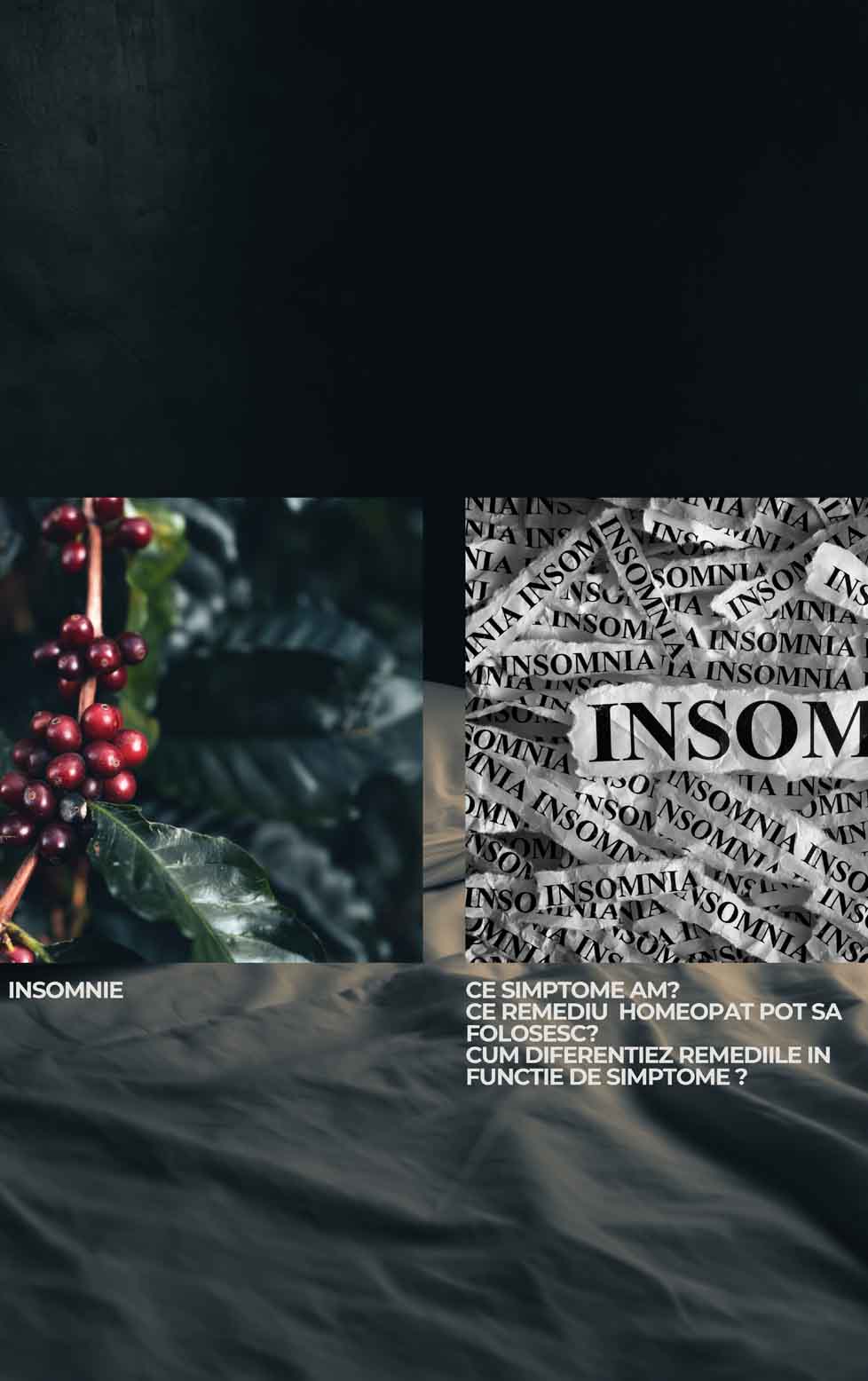 Ghid Homeopatic - Insomnie