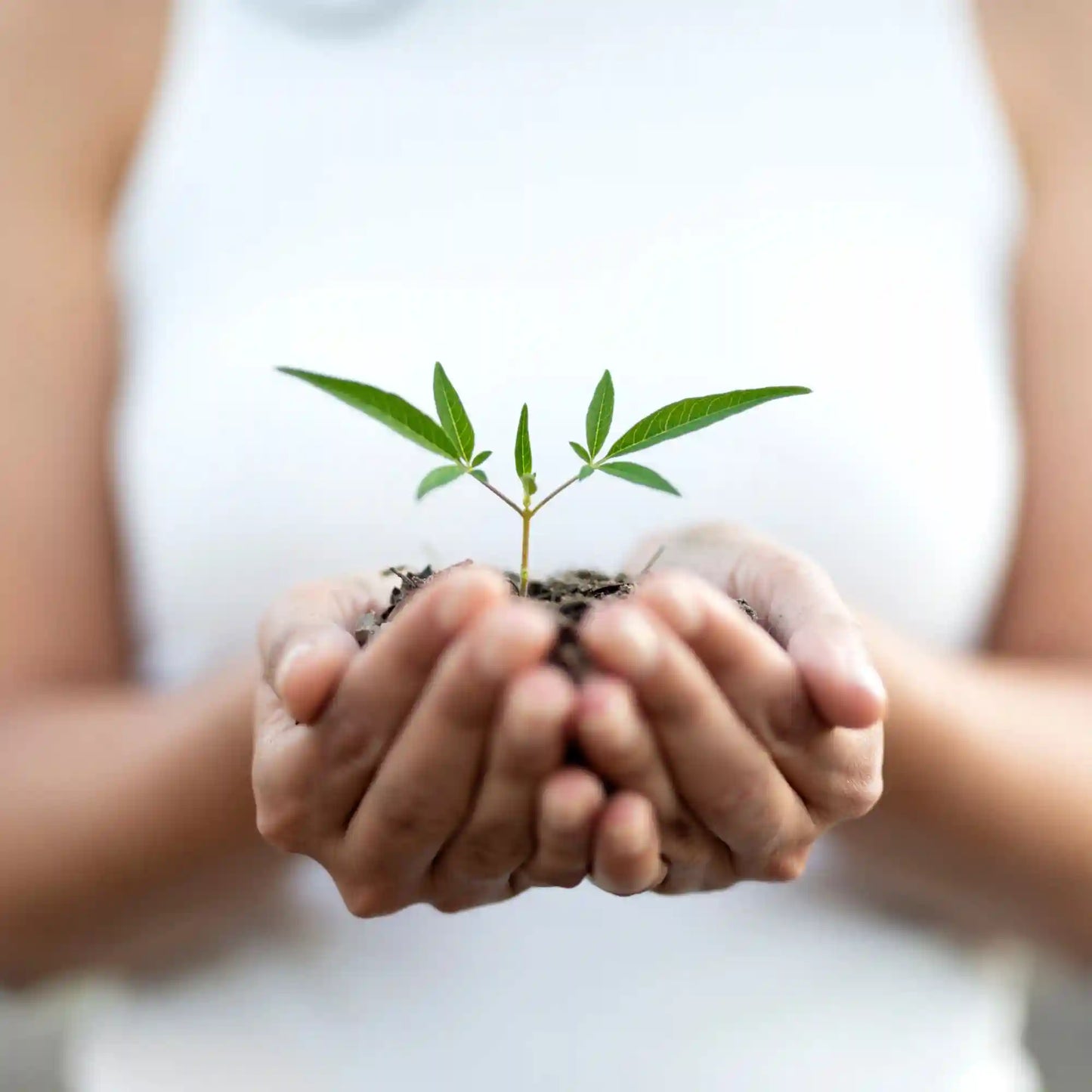 The New Life - Consultatie initiala