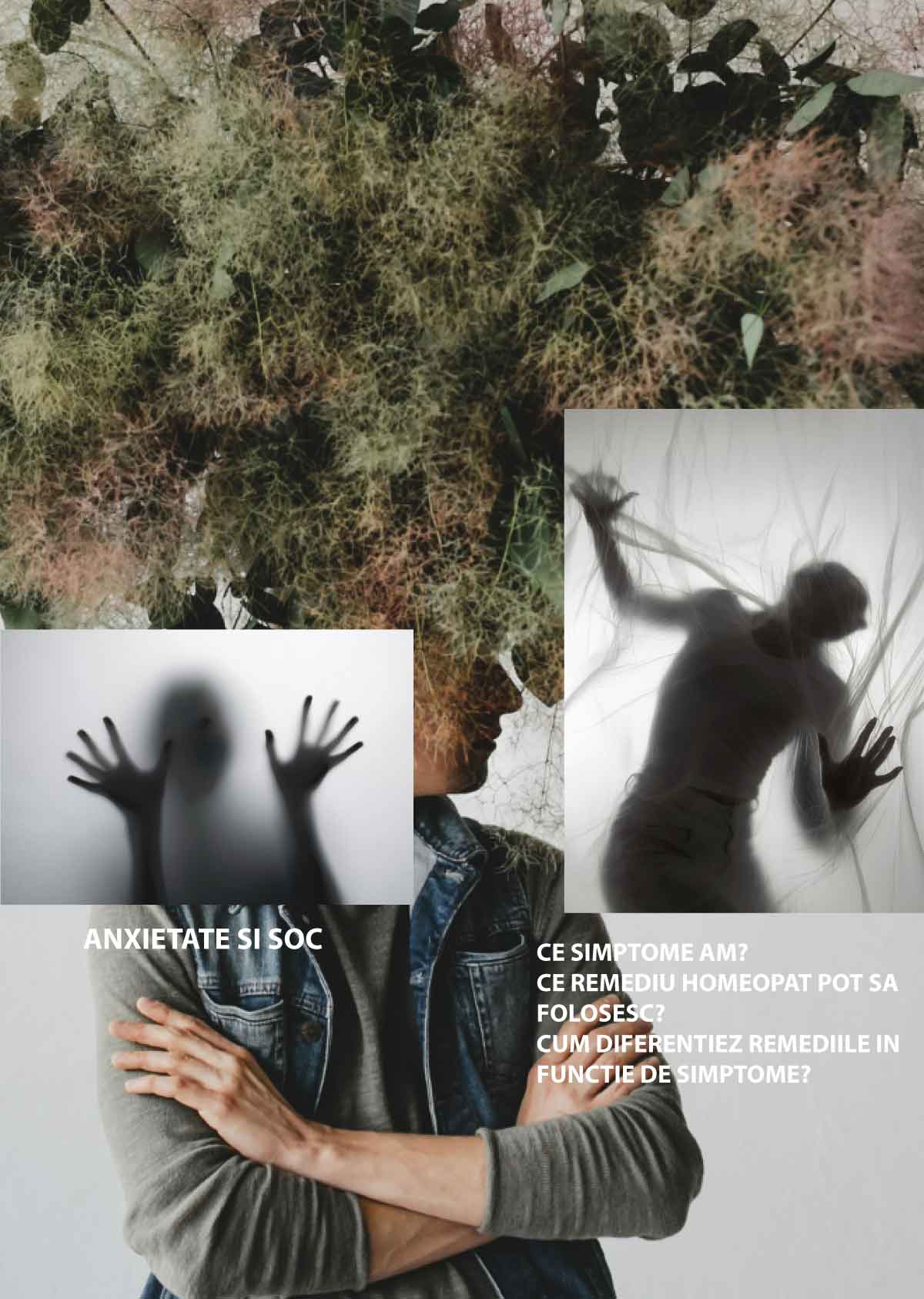 Ghid Homeopatic - Anxietate și Șoc